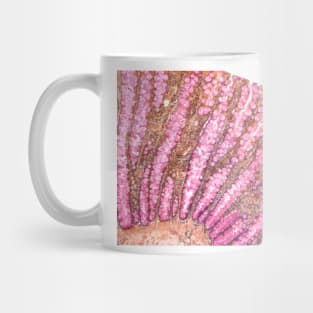 Colon, light micrograph (F006/9806) Mug